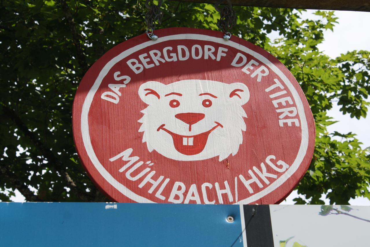 Mühlbach am HochkönigMuehlbach Alpendomizil II公寓 外观 照片