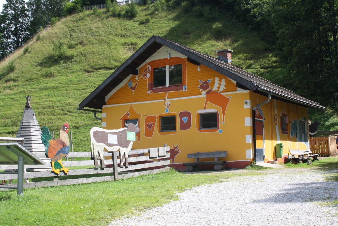 Mühlbach am HochkönigMuehlbach Alpendomizil II公寓 外观 照片