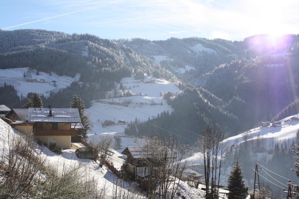 Mühlbach am HochkönigMuehlbach Alpendomizil II公寓 外观 照片